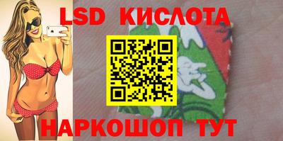 ПСИЛОЦИБИНОВЫЕ ГРИБЫ Новокубанск