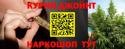 скорость Новозыбков