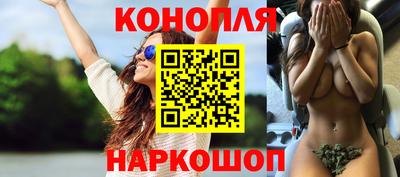 скорость Новозыбков