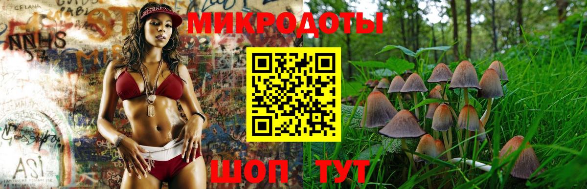 Псилоцибиновые грибы Magic Shrooms  Вход с VPN  Галлюциногенные грибы MAGIC MUSHROOMS  Шадринск 