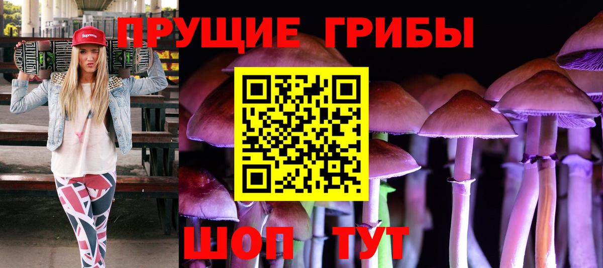 Галлюциногенные грибы GOLDEN TEACHER Шадринск